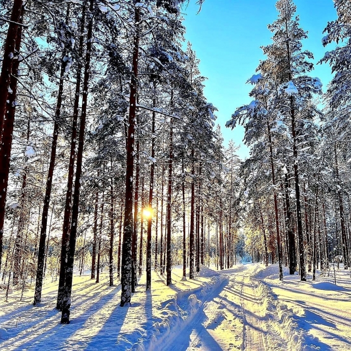 Мороз и солнце, день чудесный! Россия, снег и зима