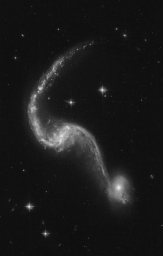Чёрно-белые взаимодействующие галактики в обработке Judy Schmidt, AM 135-650