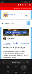 Плюсы моей социальной сети Аватарас 3