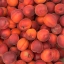 Персики | Фото арт