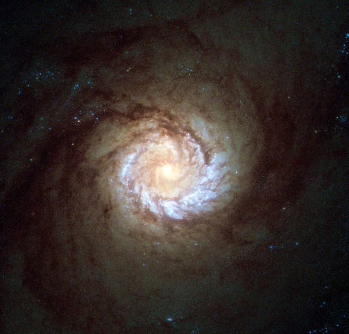 Спиральная галактика M61(NGC 4303)