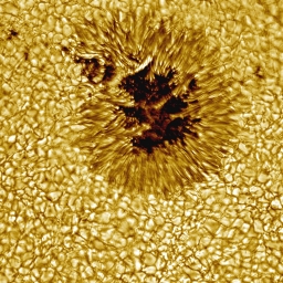 Изображение солнечного пятна, окруженного грануляцией. Снимок телескопа Vacuum Tower