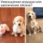 Мемы про собак и пёсиков, смешные приколы