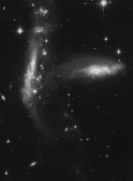 Чёрно-белые взаимодействующие галактики в обработке Judy Schmidt, Arp 288