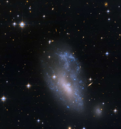 Галактика UGC 3912