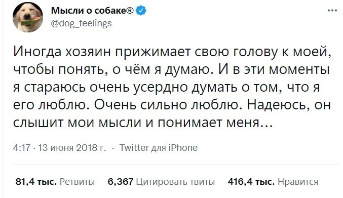 Типа твитер собачки