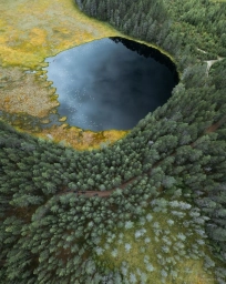Озеро в лесах Карелии. Фото