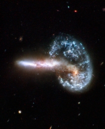 Arp 148 — взаимодействующие галактики в созвездии Большой Медведицы. Отдалены от Земли на 450 млн. световых лет.