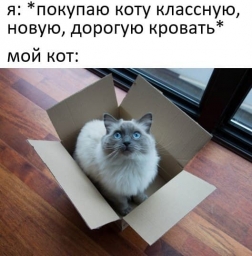 Купил котику новый домик, а он в коробке, мем, прикол, юмор