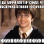 garri-potter_270909875_orig_