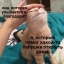 Ме м ы про кошек и котов