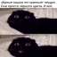 Шутки мемы и приколы про чёрную кошку.