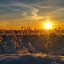 Рисунок заката в морозный денёк! (Вологодская область) shestakov_photo