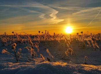 Рисунок заката в морозный денёк! (Вологодская область) shestakov_photo