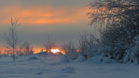 Закат. Россия. зимний закат, над снегом, ну вот такое фото, атмосферное