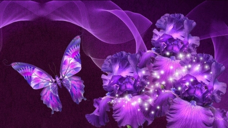 Фиолетовая бабочка, фиолетовые цвета
