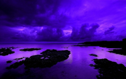 Красивая фотография фиолетового цвета
