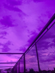 Красивое фиолетового цвета