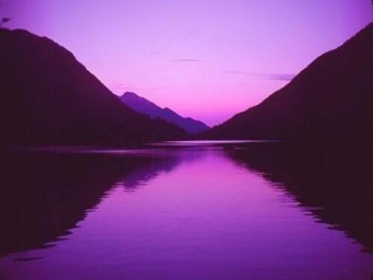 Красивый фиолетовый цвет