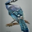 Синяя птица - blue jay. Рисунок