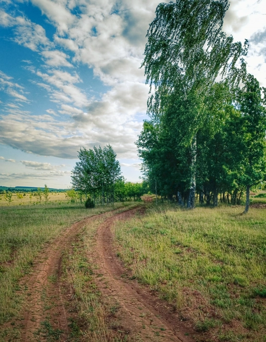 Удмуртия, Сарапульский район