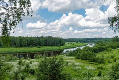 река Угра, Калужская область. Россия. Фото