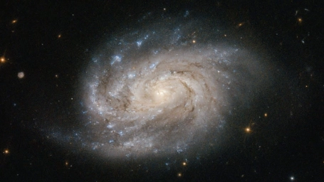 NGC 1803 - галактика в созвездии Живописец.
