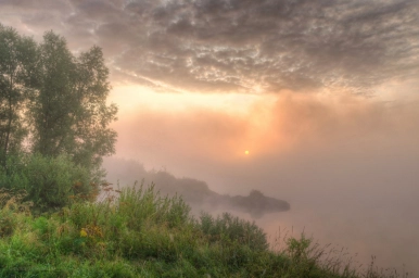 Туман, Россия, красота. Утро