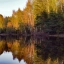 Природа, озеро, осень