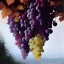 Рисунки нейросетью: виноград