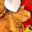 Осень, листья, сердечко, амулет