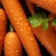 Морковь, нейросеть, midjourney